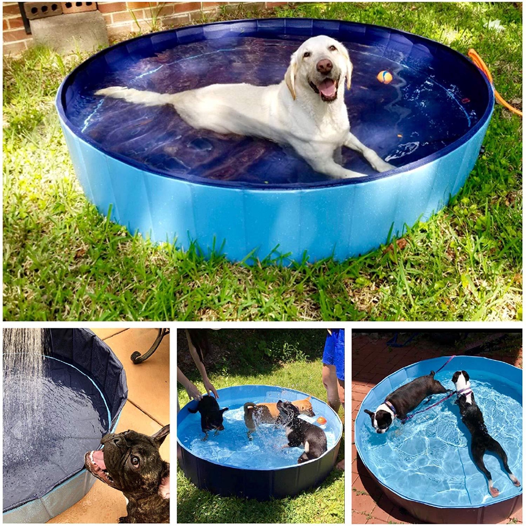 foldable dog pool