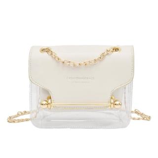 mini clear purse