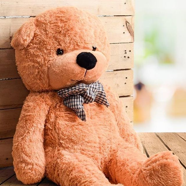 40 inch teddy bear