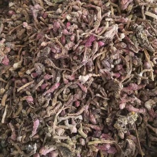 正品款冬花chinese Herbal 冬花中药材款冬花止咳冬花茶 Shopee Malaysia