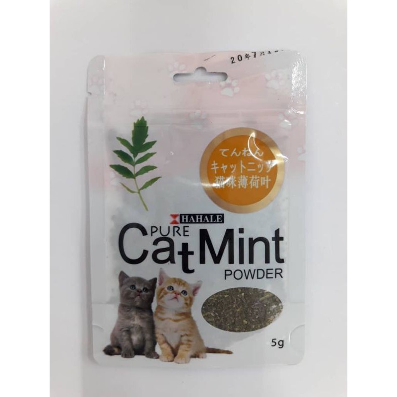 Cat mint powder 5g catnip for cat catnip untuk kucing 5g Shopee Malaysia