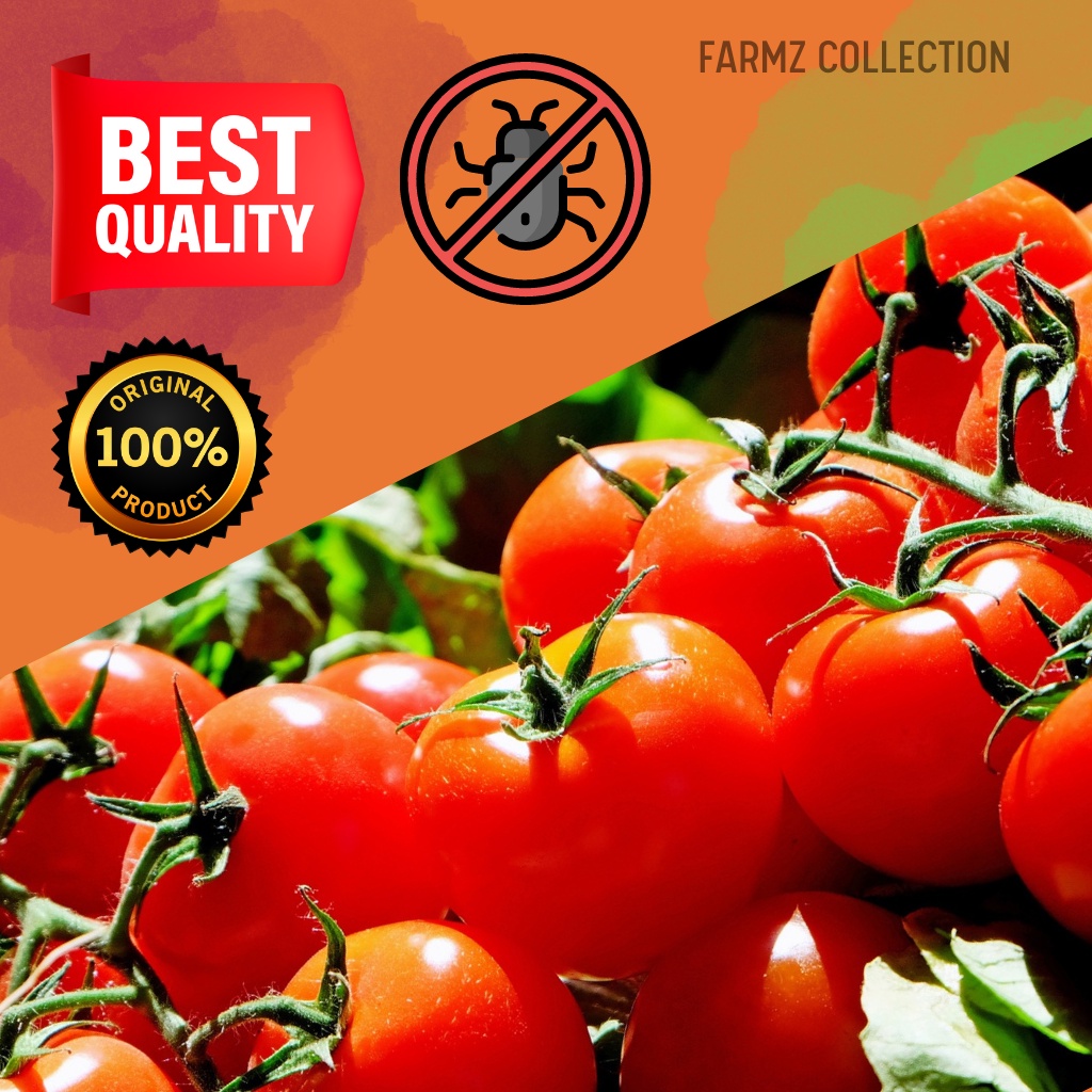 Tomato Insect controller Vegetable Insecticide Racun Serangga Kill