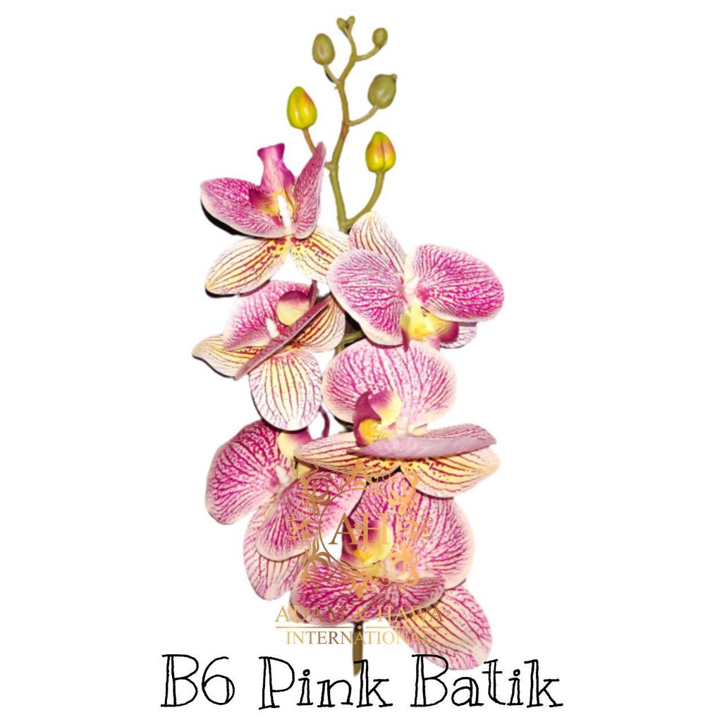 Bunga Orkid Premium Latex 1 Tangkai 6 9kuntum Artificial Fake Silk Flower Phalaenopsis Orchid Floral Party Home Wedding Shopee Malaysia