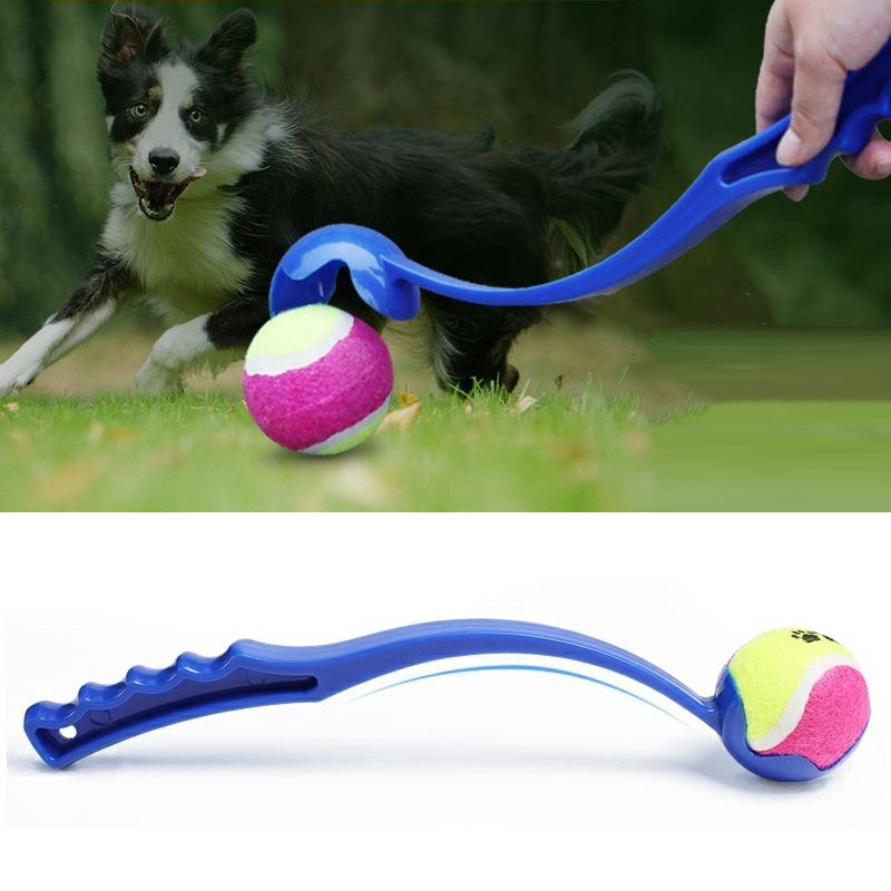 active ball for dogs