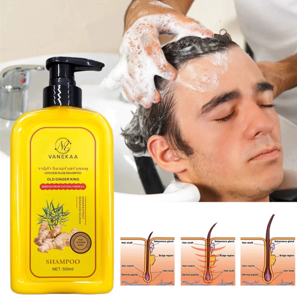 Ginger Shampoo for Anti Hair Loss Fast Growth Hair Grow Thicker Dense Control Hair Oil Treatment Dandruff 500ML