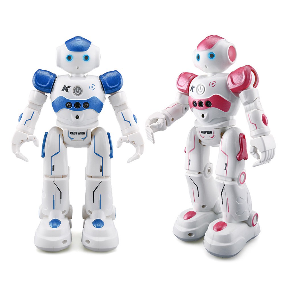 cady wida robot