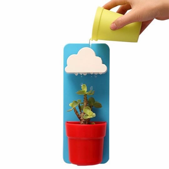 Cloud Rainy Wall Mounted Flower Pot