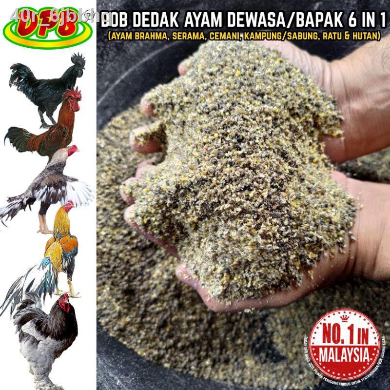 ♨☾㍿[READY STOCK][5KG] DPB DEDAK AYAM DEWASA/BAPAK 6 IN 1 