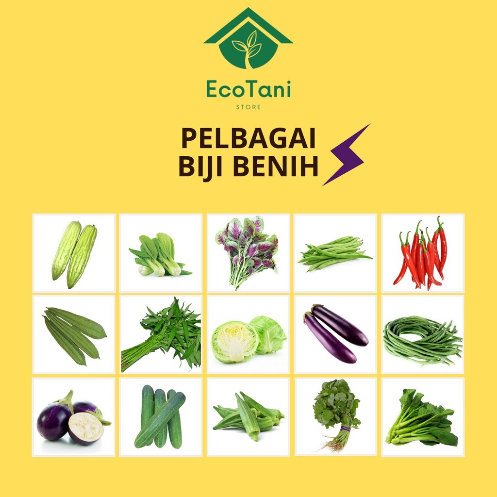 ECOTANI Pelbagai Biji Benih Sayur-sayuran Benih Buah Vegetable Seed ...