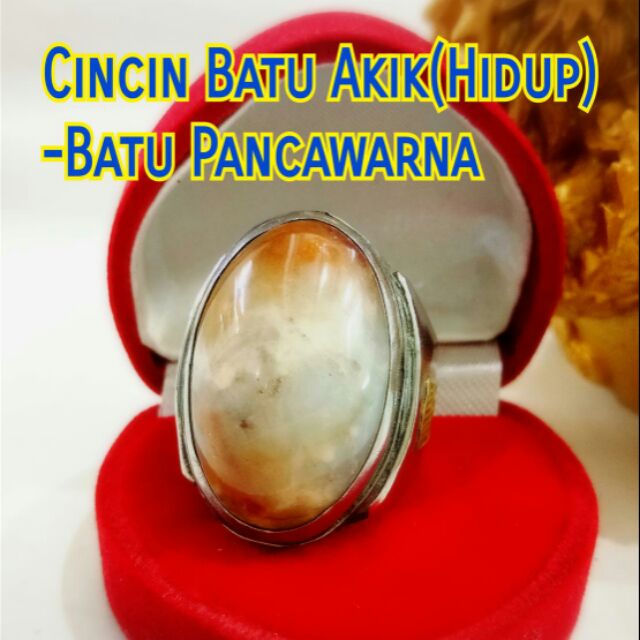 Cincin Batu Akik/Hidup Pancawarna