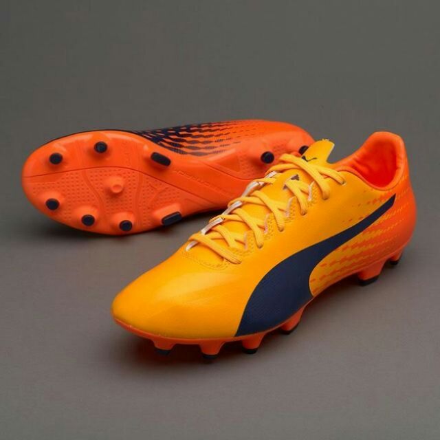puma evospeed 17.2 fg