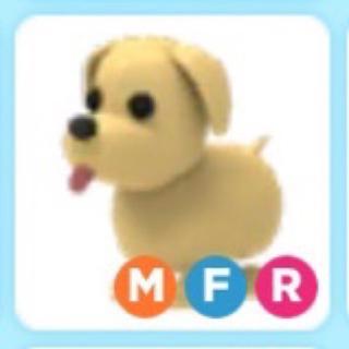 Adopt Me Mega Neon Dog And Cat Cheap Promo Shopee Malaysia - neon dog roblox