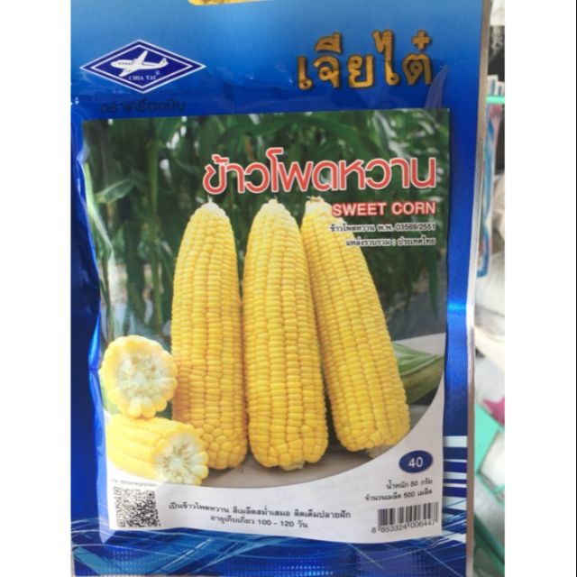 benih jagung manis cap chia tai..import dari thailand  Shopee 