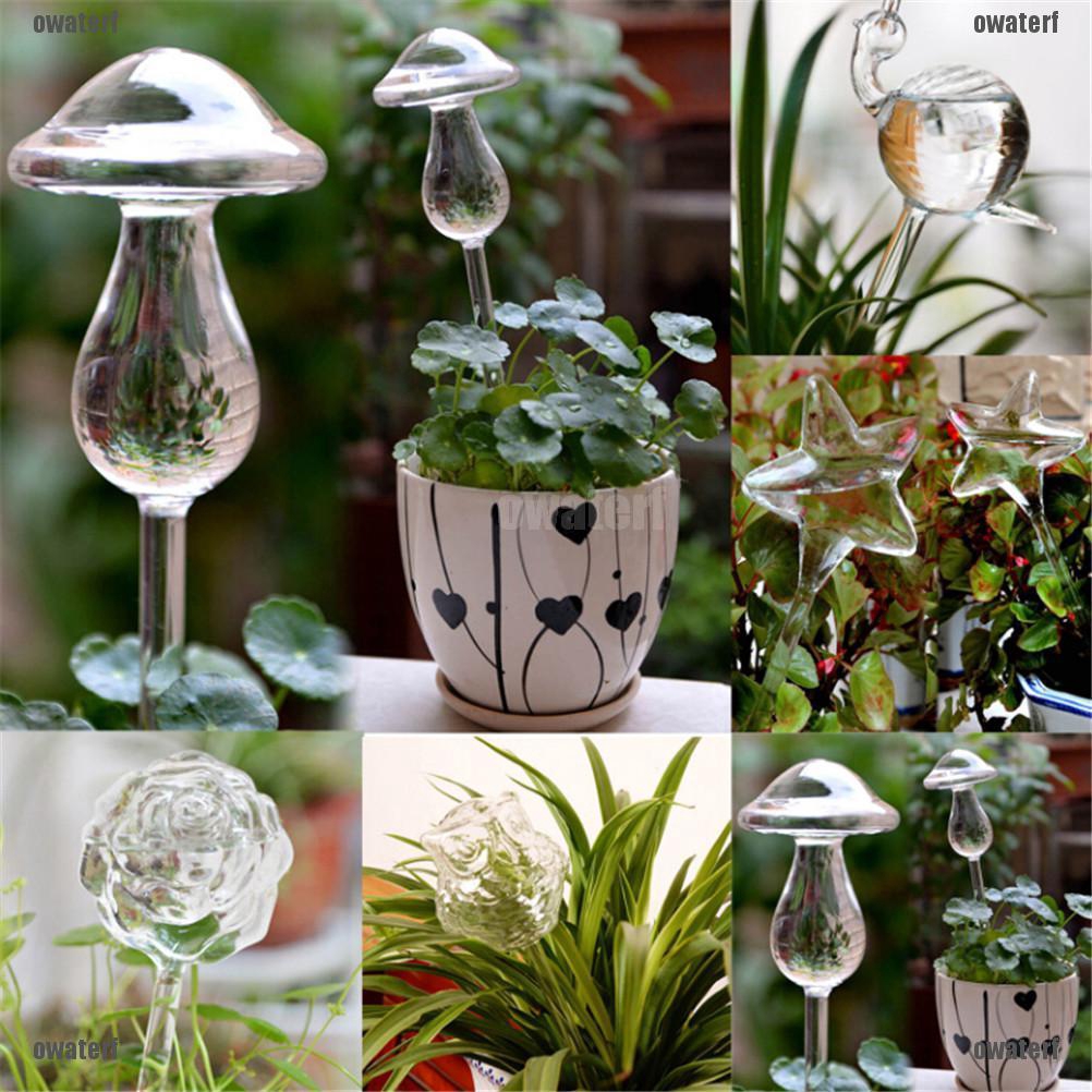 Cod Glass Plant Flowers Water Feeder Self Watering Bird Design