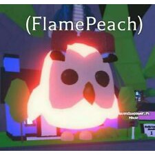 Whats A Neon Owl Worth In Adopt Me - roblox adopt me neon owl