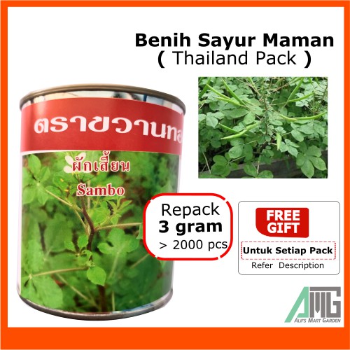 Buy Benih Sayur Maman Thailand Cleome  SeeTracker Malaysia