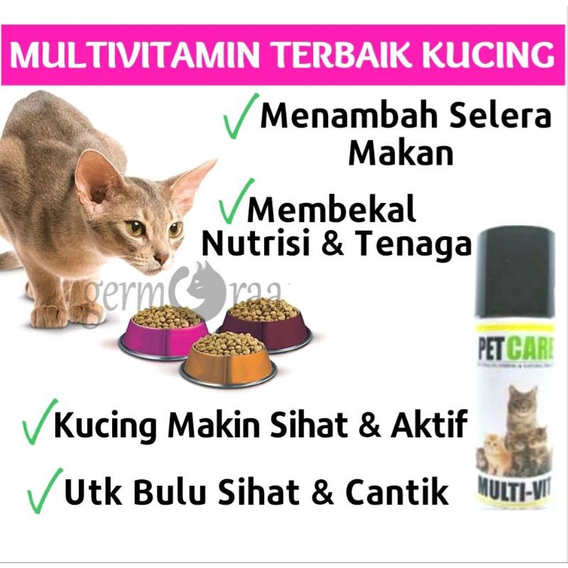 Multi Vitamin Kucing Aktif Vitamin Kucing Cergas Tambah Selera Makan