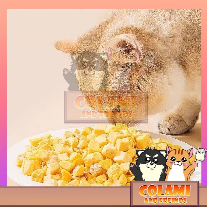 Freeze Dried Pure Egg Yolks Pets Food Dogs Cats Snacks Treats Food 200g