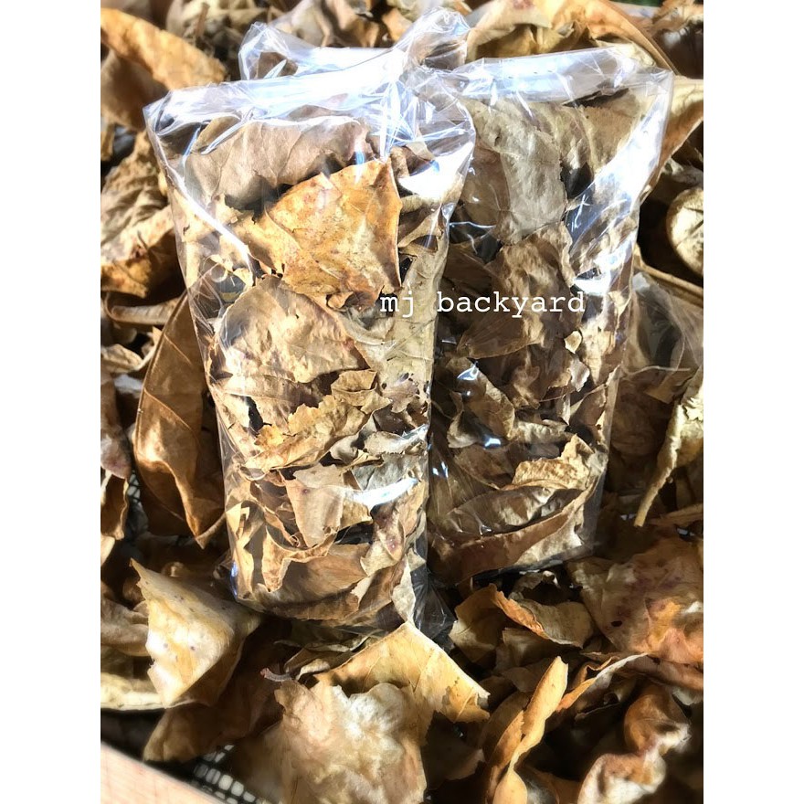 Siap Kopek Tiada Batang Daun Ketapang Shredded Catappa Leaves Without Midrib Betta Fish Ikan Laga