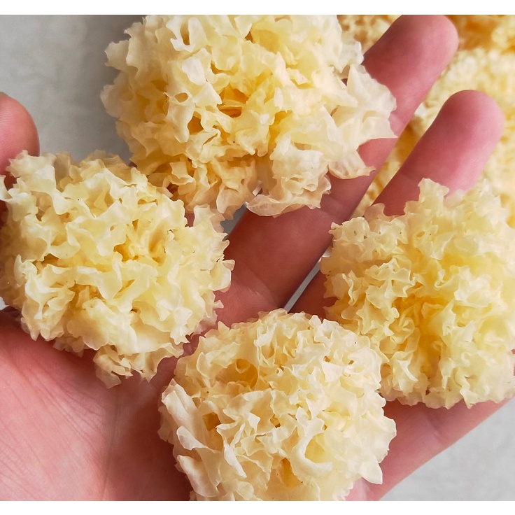 Buy 100 G White Fungus ç™½æœ¨è€³ æ— ç¡«é