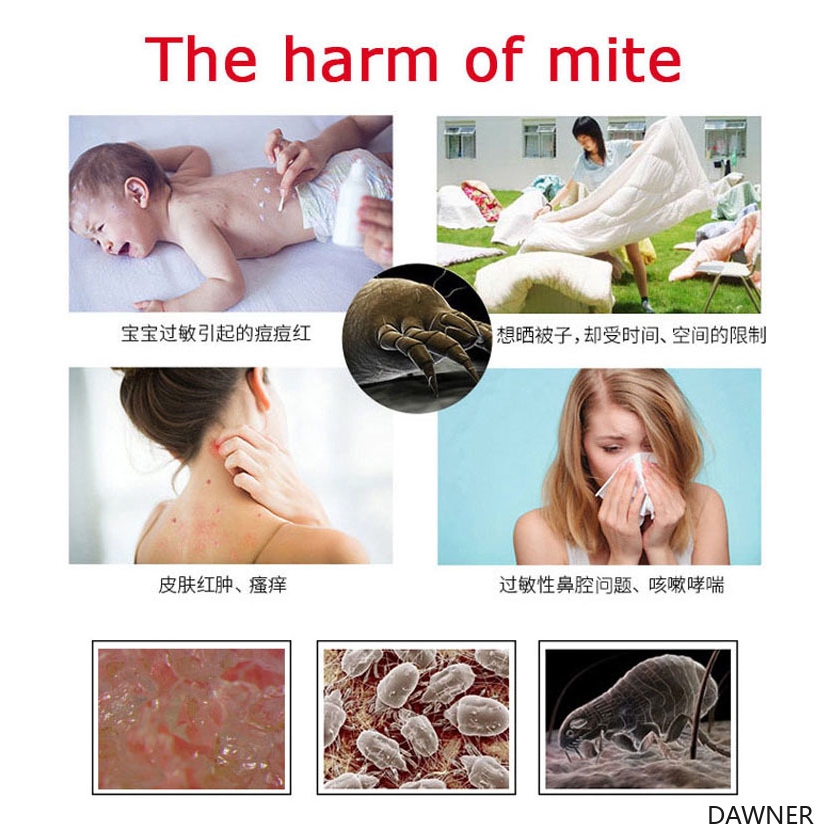 Premium 6-Pack Natural Plant-Based Mite Removal Solution - Image 2