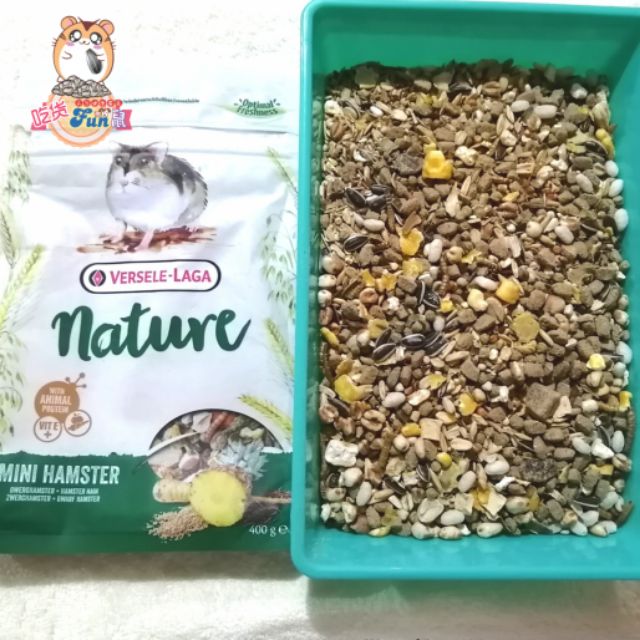 versele laga hamster