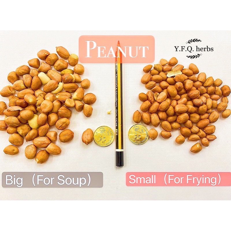Peanut花生 A Large Size For Soup B Small Size For Frying大粒花生 煲汤用小粒花生 炒用 Variations 100g 500g Shopee Malaysia