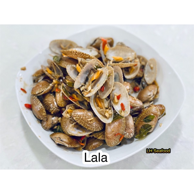Lala Bunga (Kerang/ Clams) Shopee Malaysia