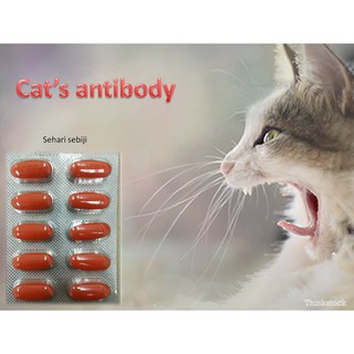 Ubat Untuk Kucing Demam Dan Selsema - Descargaroad