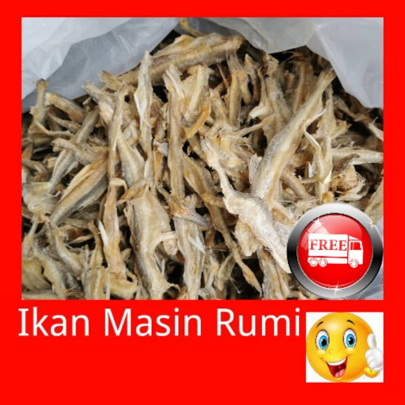 Ikan Masin Rumi 250g Shopee Malaysia 