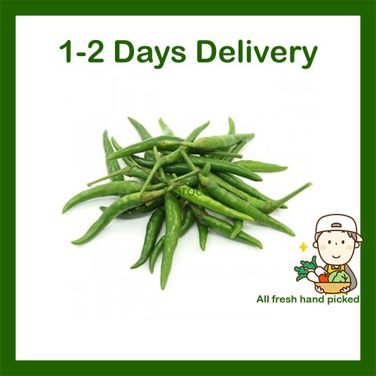 Green Chilli Padi / Cili Padi Hijau 100g Fresh Vegetables ...