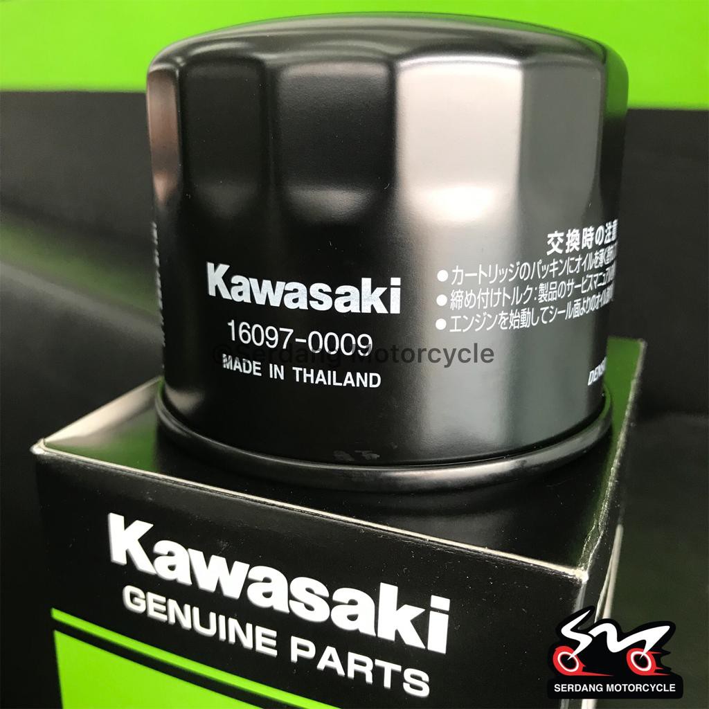 2024 Ninja 500 Oil Filter Replacement Joya Rubina