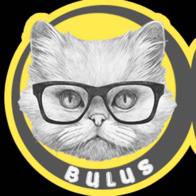 AntiFleas Cat Collar / Kolar Anti Kutu Kucing  Shopee Malaysia
