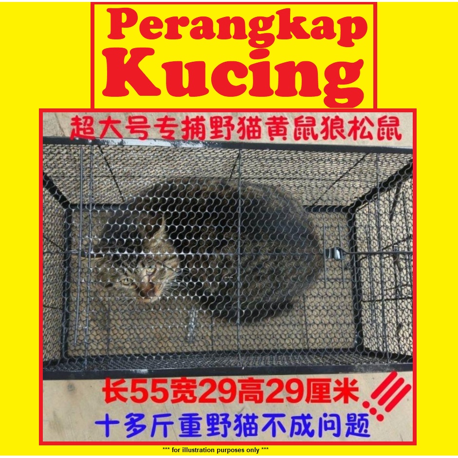 Perangkap Sangkar Tikus Musang Tupai Kucing Cat Trap Cage mouse Weasel  squirrel