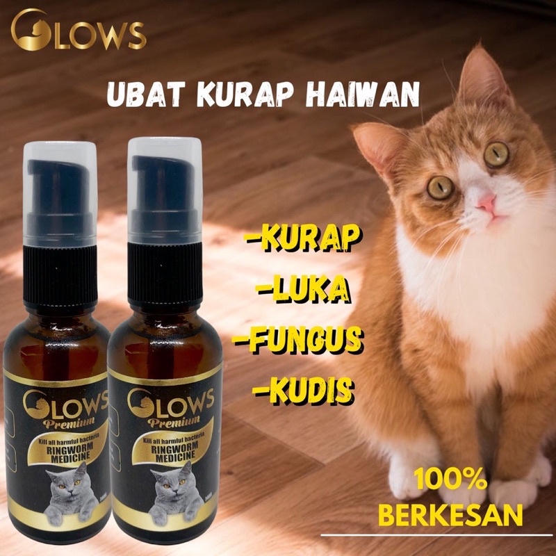 Ubat Kurap Kucing 14hari Berkesan Shopee Malaysia