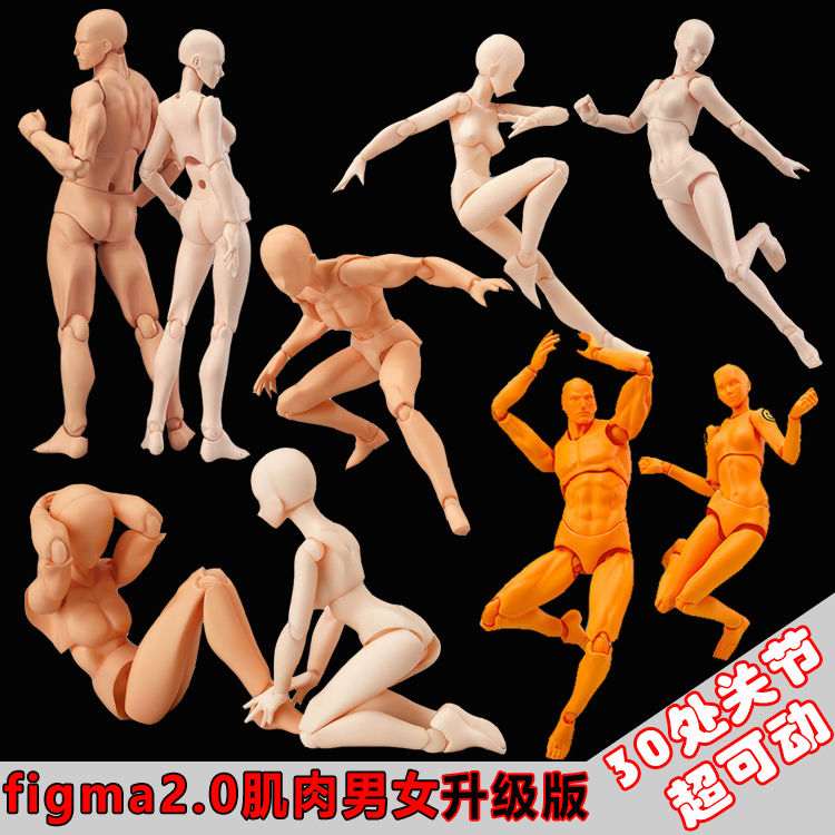 Buy 手办 Figma素体美术人体模型玩具日本人偶关节可动成人绘画肌肉shf素体 Seetracker Malaysia