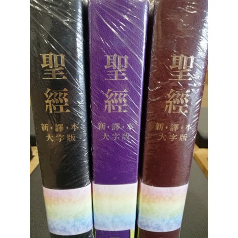 中文圣经  新译本 - 大字版 - 软皮（繁体）LARGE SIZE - TRADITIONAL CNV LARGE PRINT