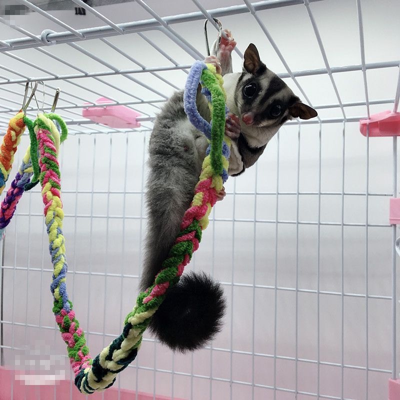 Handmade Colorful Sugar Glider Toys For Climbing Exercising Hanging Toy Cage Accessories Bird Rope Perch Swing Ee Malaysia - Homemade Diy Sugar Glider Toys