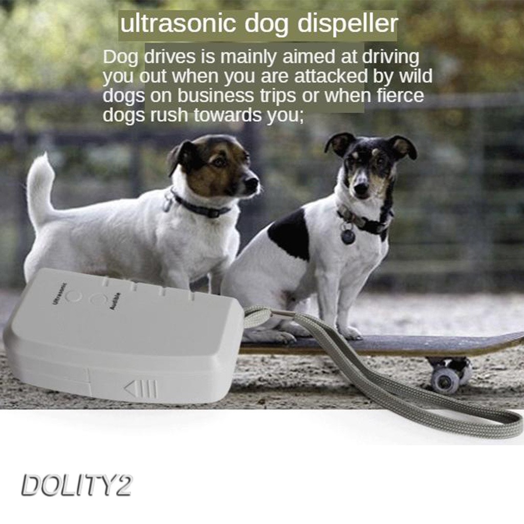 Can Dogs Hear Ultrasound