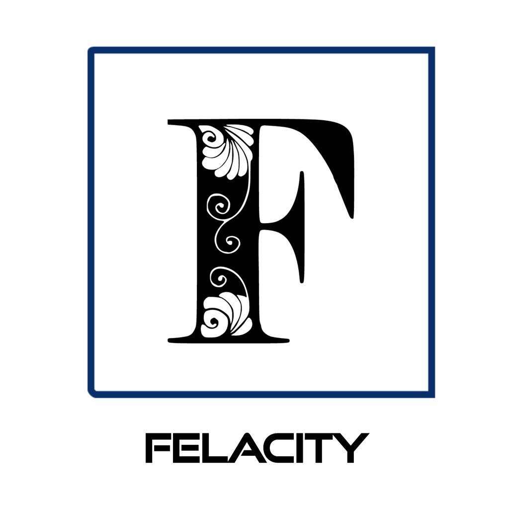 Felacity Lingerie Shop store logo