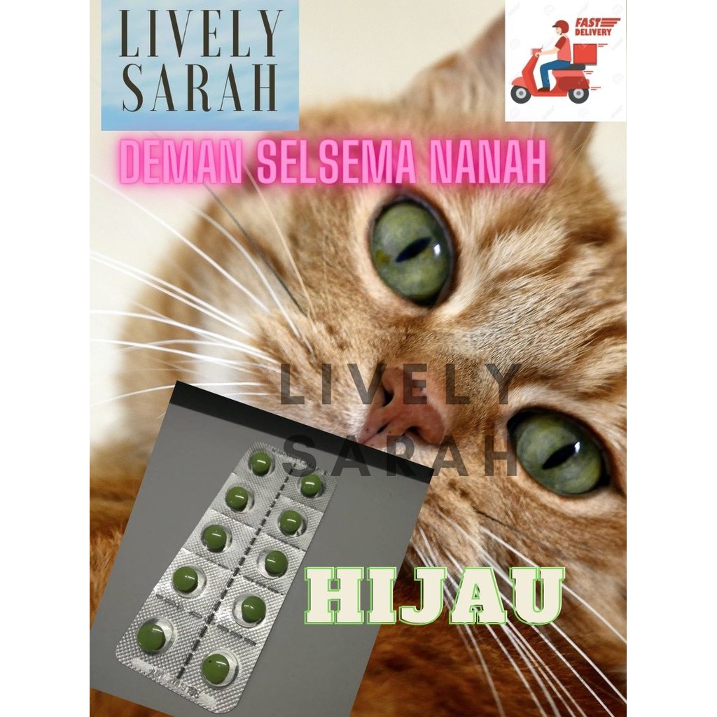 Ubat Kucing Selsema Dan Bersin