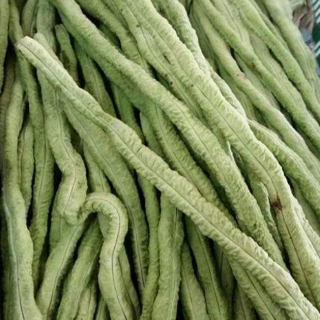 Kacang Panjang Ular Snake Bean Pasar Shopping