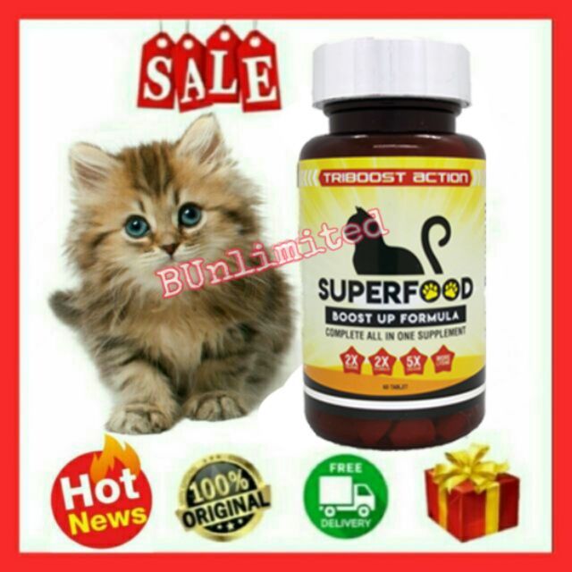 💥HOT VIRAL💥 Superfood Ubat Kucing Kutu, gemok gebu, bulu gugur 