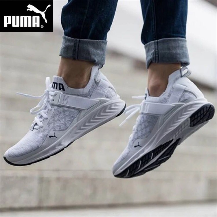 puma ignite evoknit grey