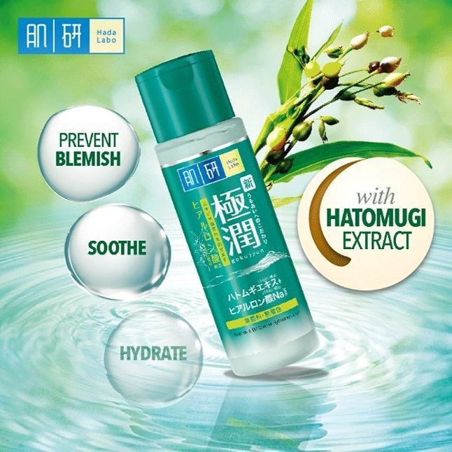 Hada Labo Blemish Oil Lotion 170ml (Expiry dateJan 2022) Shopee Malaysia