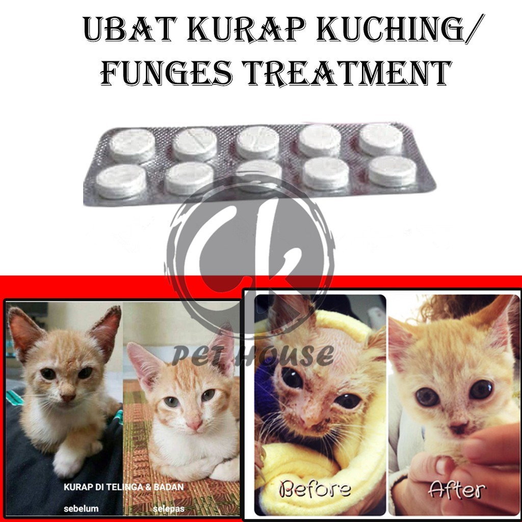 Antifungal Skin Disease Tablet / Ubat Kurap Fungus Kucing/Anjing  10