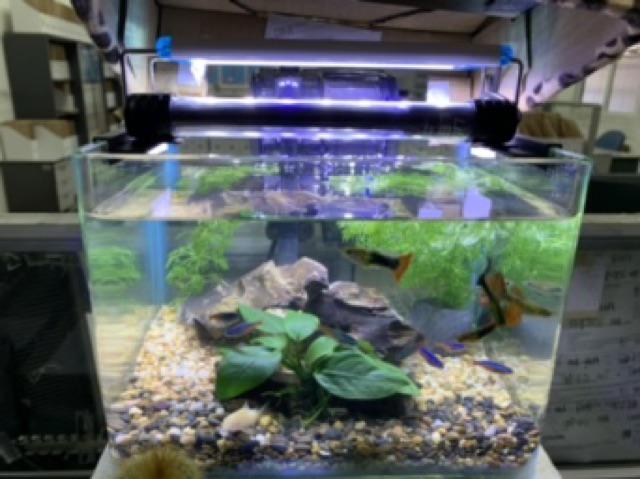 Aquarium Super Slim Led Plant Light Shopee Malaysia