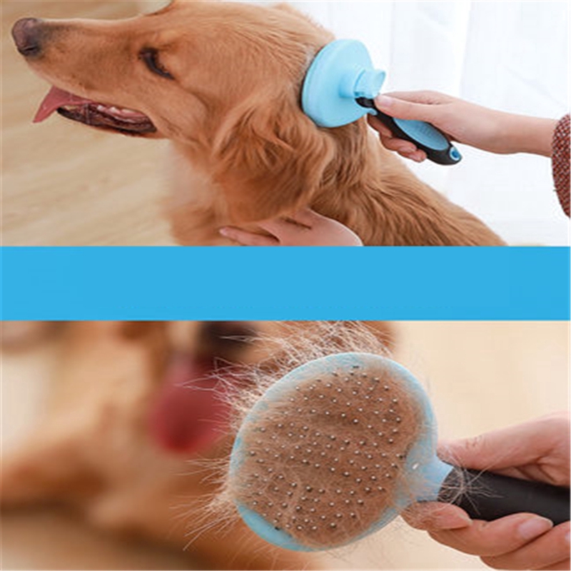 dog brush for golden retriever