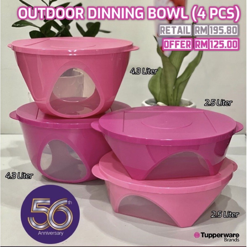 TUPPERWARE Outdoor Dining Bowl (1)