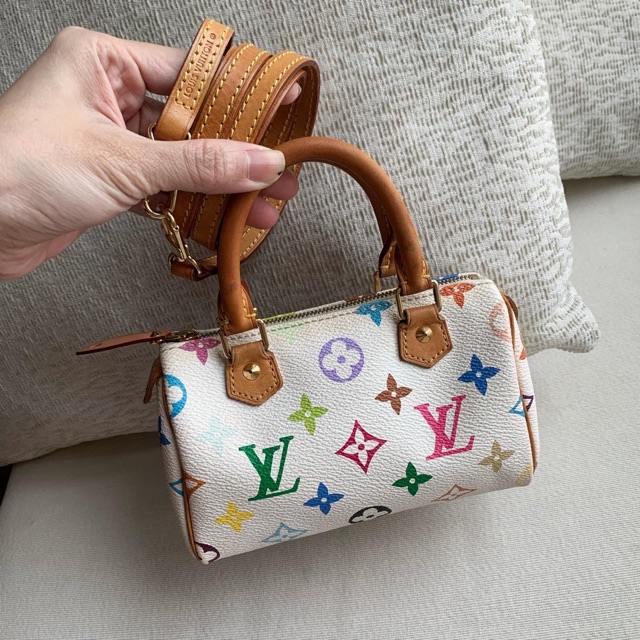 louis vuitton multicolor small bag